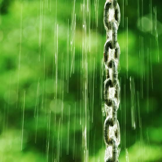 Copper rain chain hanging from a gutter during rain
