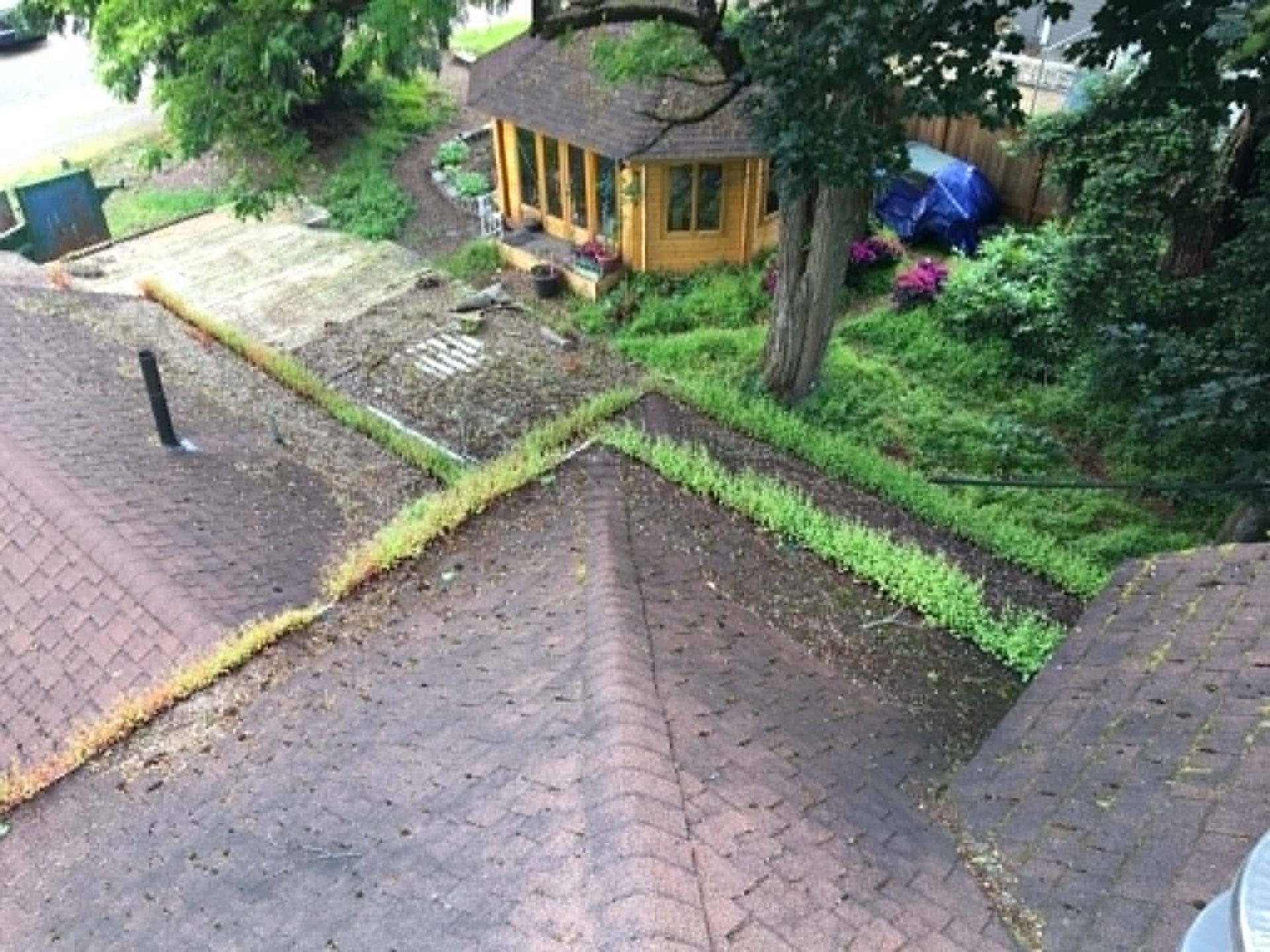 House and garden with trees beside a paved driveway and roof, viewed from above