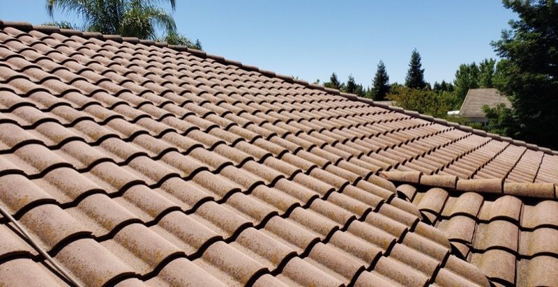 Terracotta tiled roof under a clear blue sky, with trees and houses in the background
