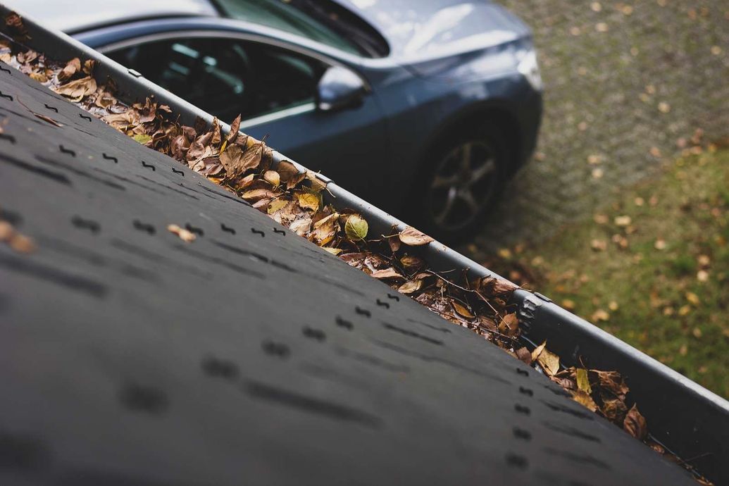 Close-up of a leaf-covered roof with a blurred blue car parked below