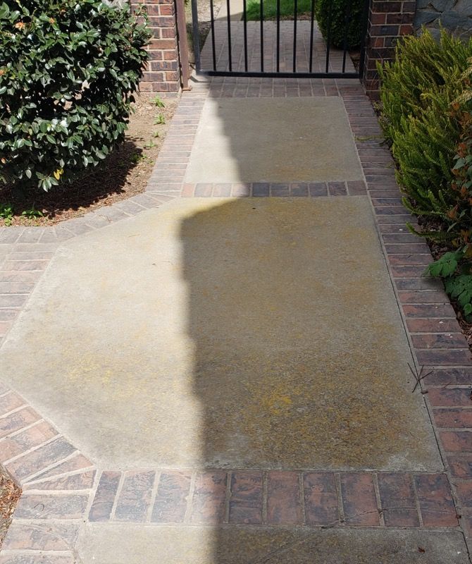 Sunny front walkway with a patch of wet or cleaned concrete leading to a gated entrance.