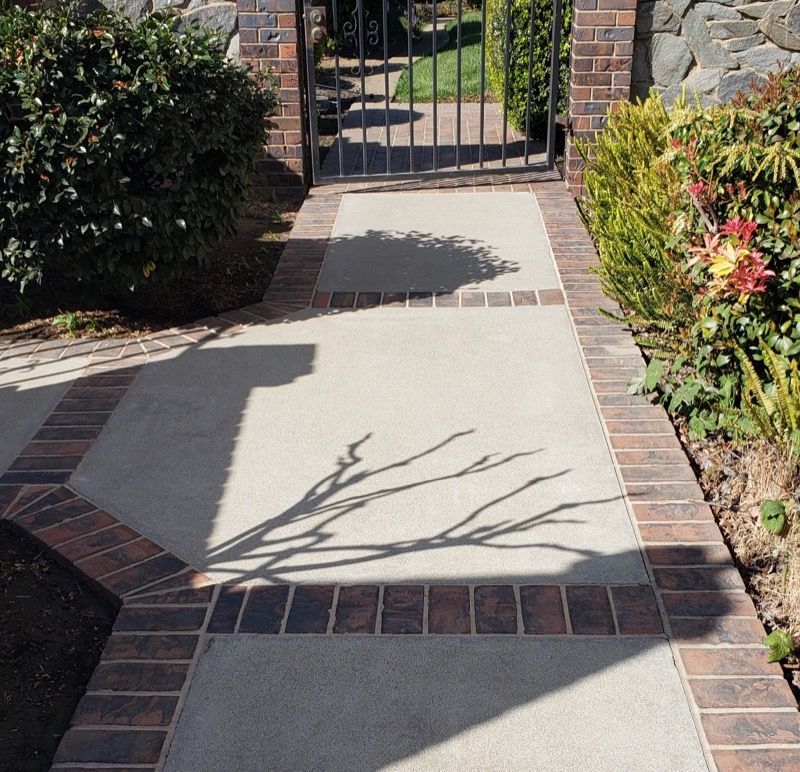 Concrete walkway with brick borders leading to a gate, with shrub shadows cast across it.
