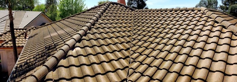 Tile roof with brown shingles, a skylight, and trees and neighboring houses in the background