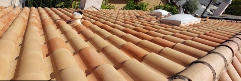Terracotta roof tiles on a sunlit sloped rooftop with trees in the background