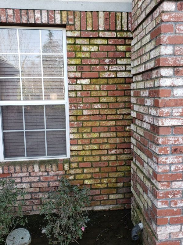 Brick house corner with a window, brick column, and small shrubs below.