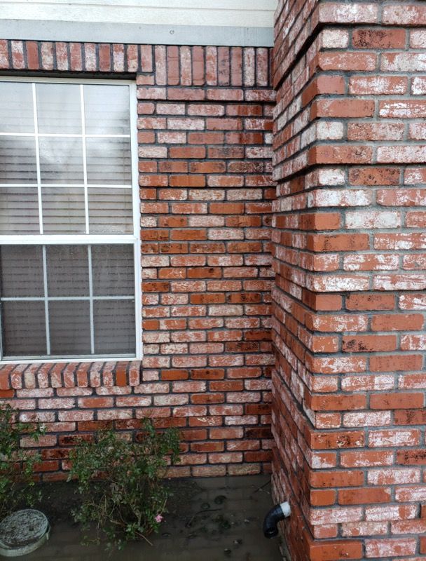 Red brick house exterior with a window, corner column, and small plants at the base.