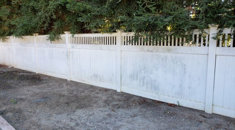 White wooden fence along a dirt driveway with tall trees behind it