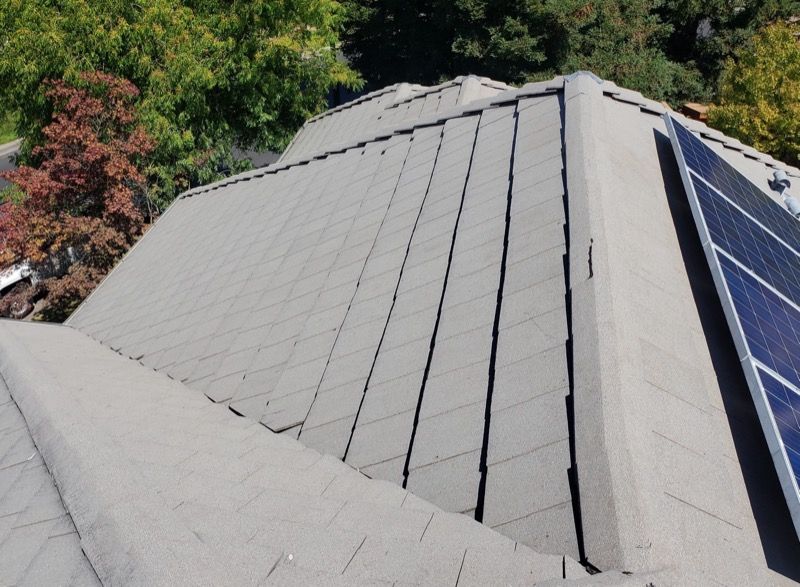 Rooftop with gray shingles and solar panels, surrounded by trees.