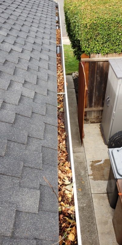 Narrow gap between a shingle roof and a hedge-lined fence, filled with leaves and debris.