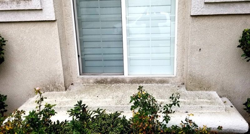 Beige stucco wall with a white window above a concrete ledge and shrubs below