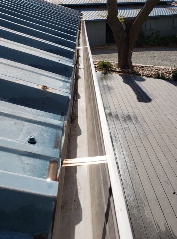 Blue corrugated roof edge above a wooden deck with a tree casting shadows nearby