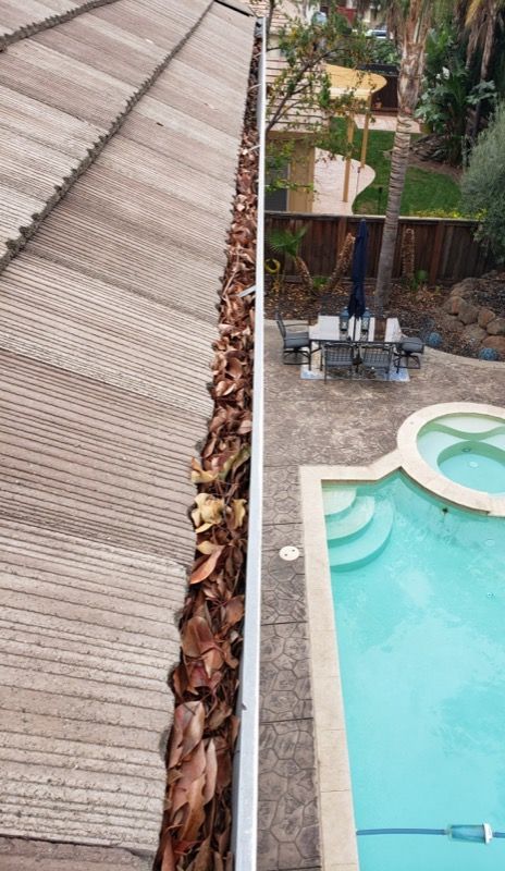 Rooftop and poolside patio view with turquoise swimming pool, patio table, and palms.