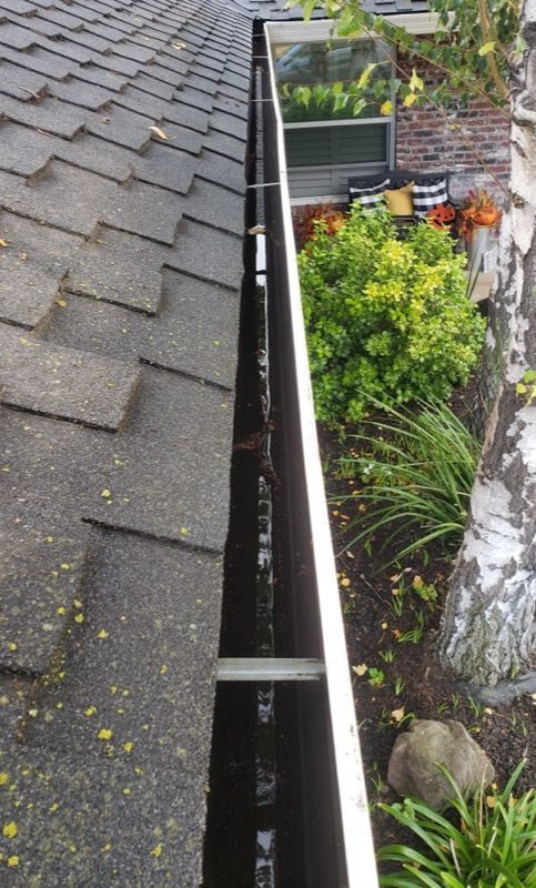 View from roof edge with gutter, mossy shingles, and a small garden below beside brick wall.