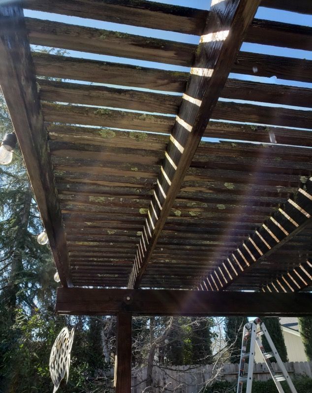 Wooden pergola roof seen from below, with sunlight filtering through slatted beams.