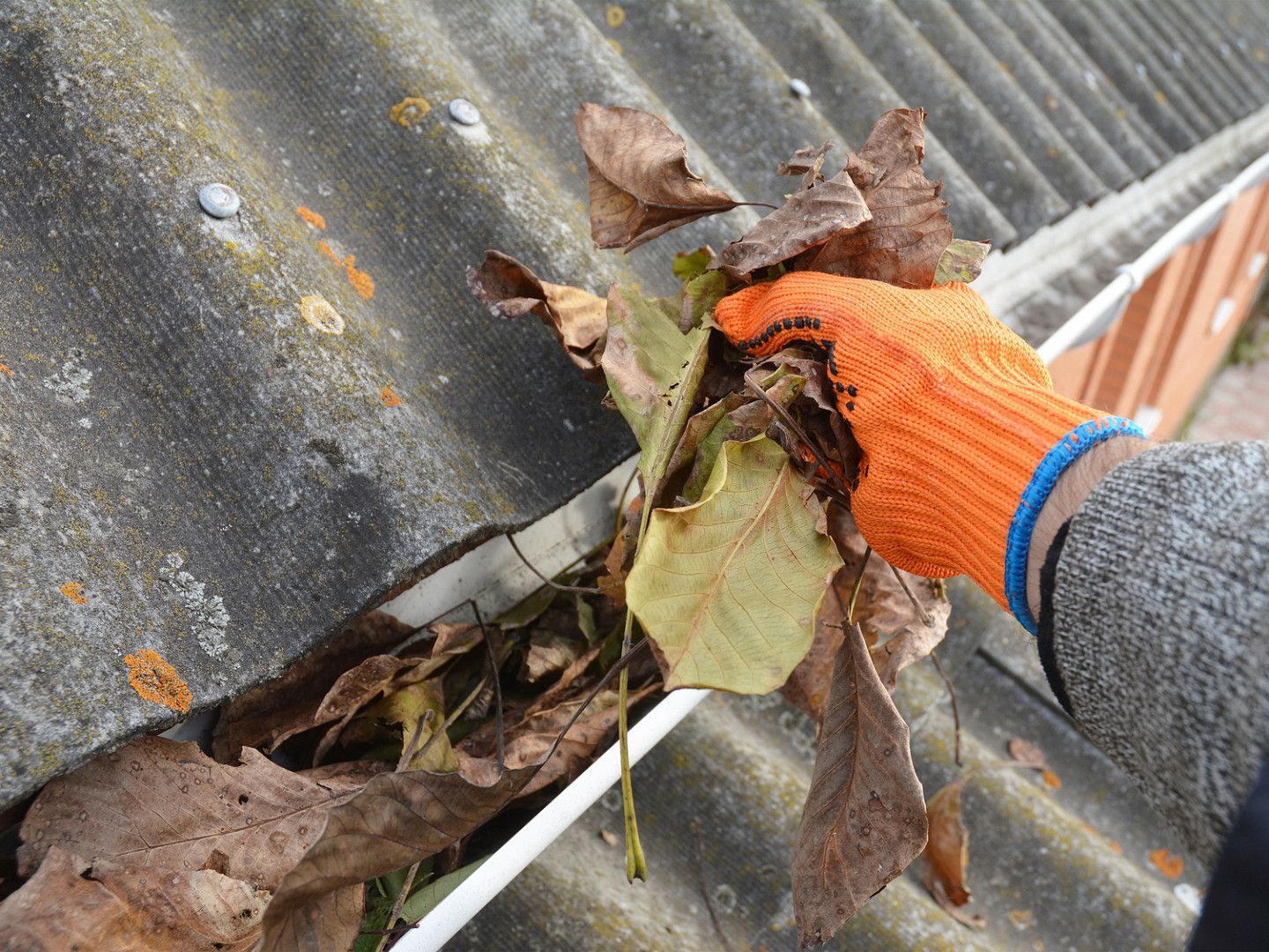 Gloved hand removing leaves and debris from a roof gutter against gray shingles