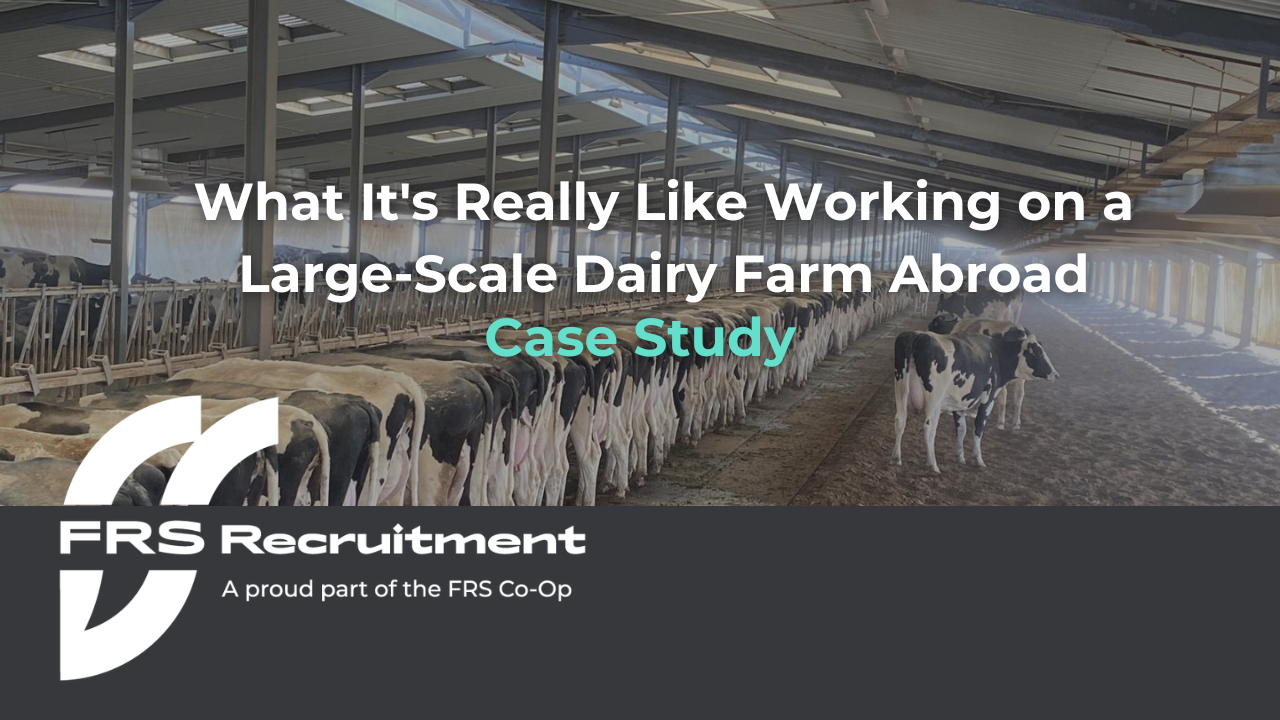 Lage scale dairy farm jobs 