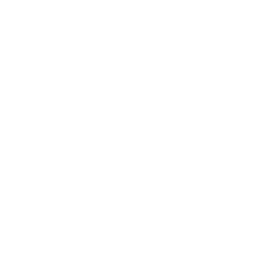 Capitol Anesthesiology Logo White