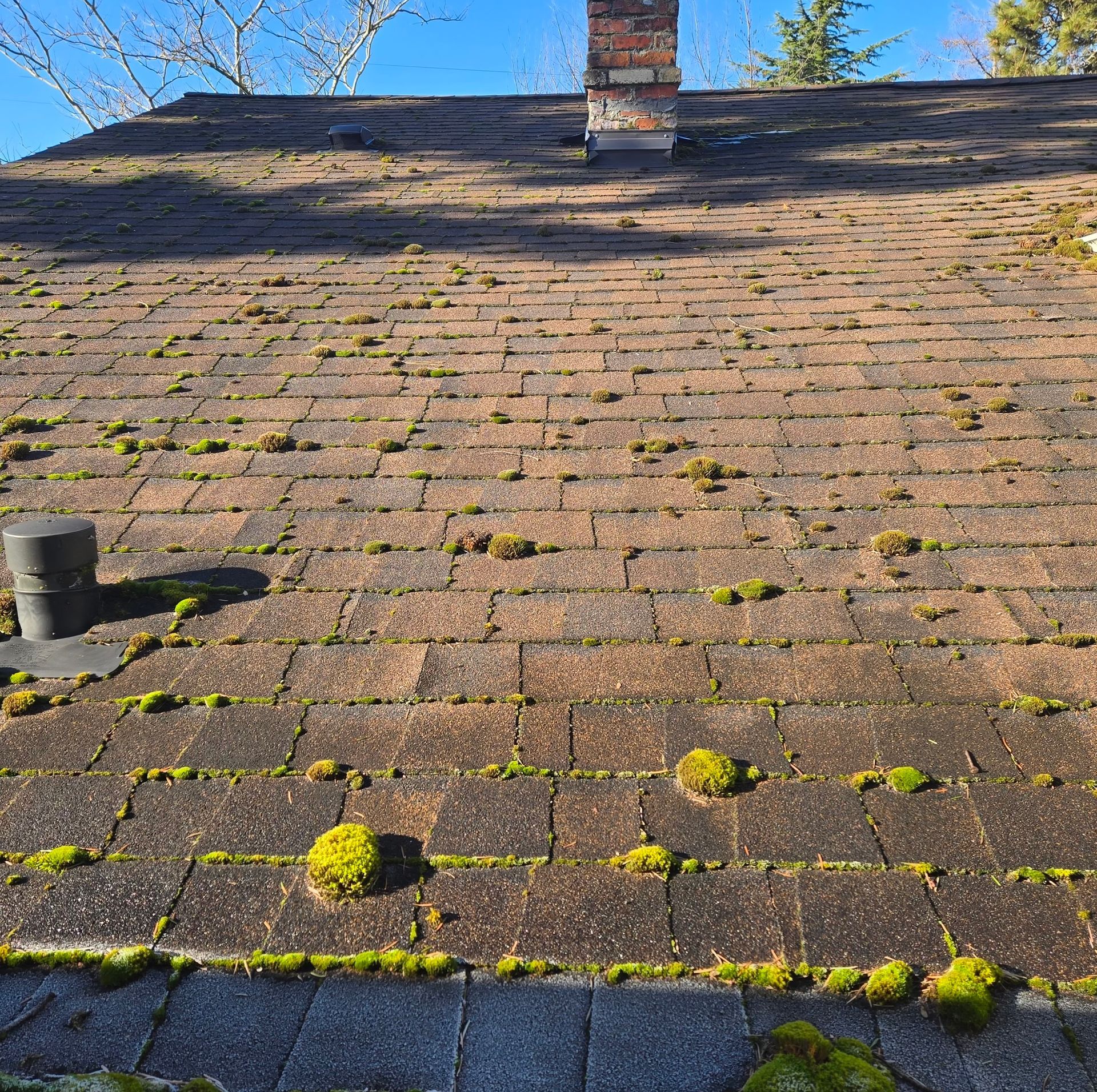 A weathered brown shingle roof covered in patches of green moss with a brick chimney and a plumbing vent pipe.