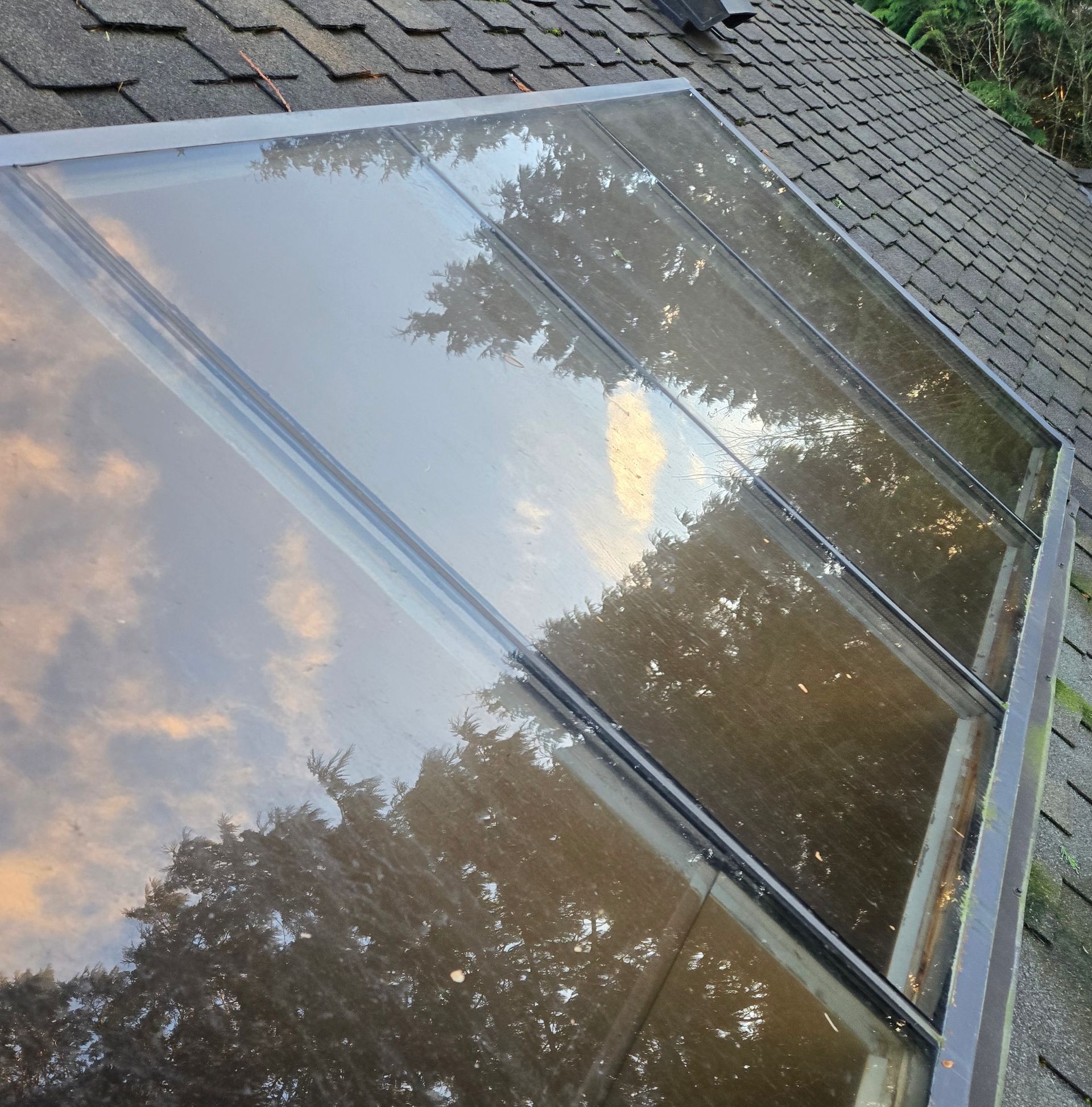 A large rectangular skylight installed on a dark shingled roof, reflecting the surrounding trees and cloudy sky.