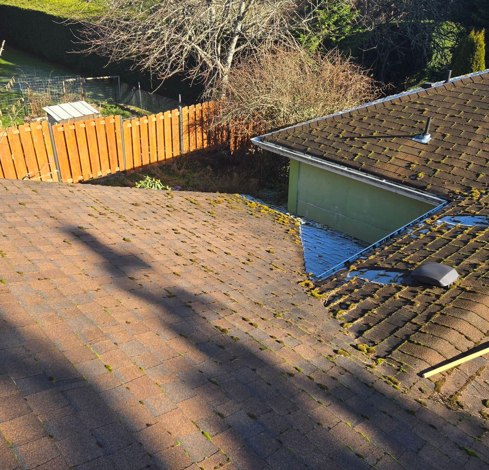 An aerial view of a textured shingle roof with patches of moss, alongside a wooden fence and tree branches.