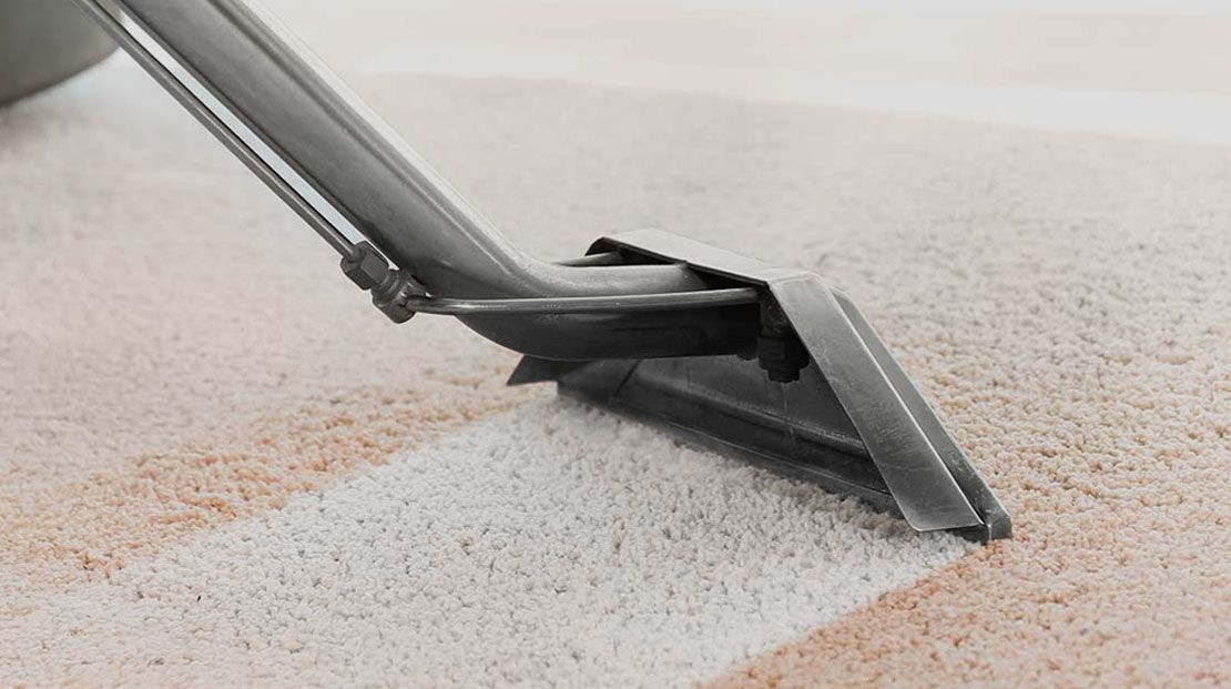Vacuum cleaner head cleaning a carpet, leaving a clean white strip.