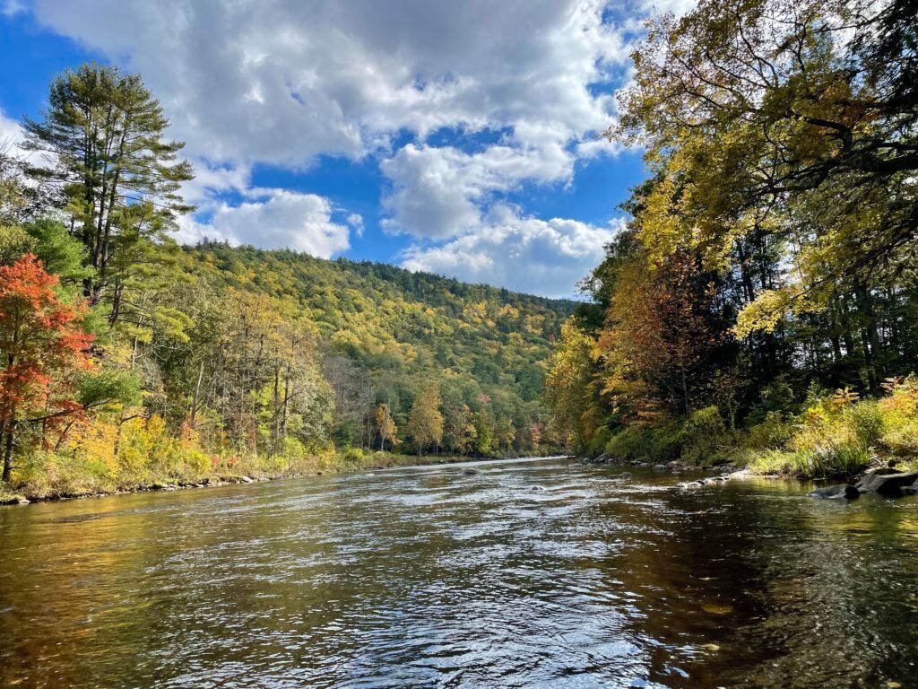 Regulatory & Compliance