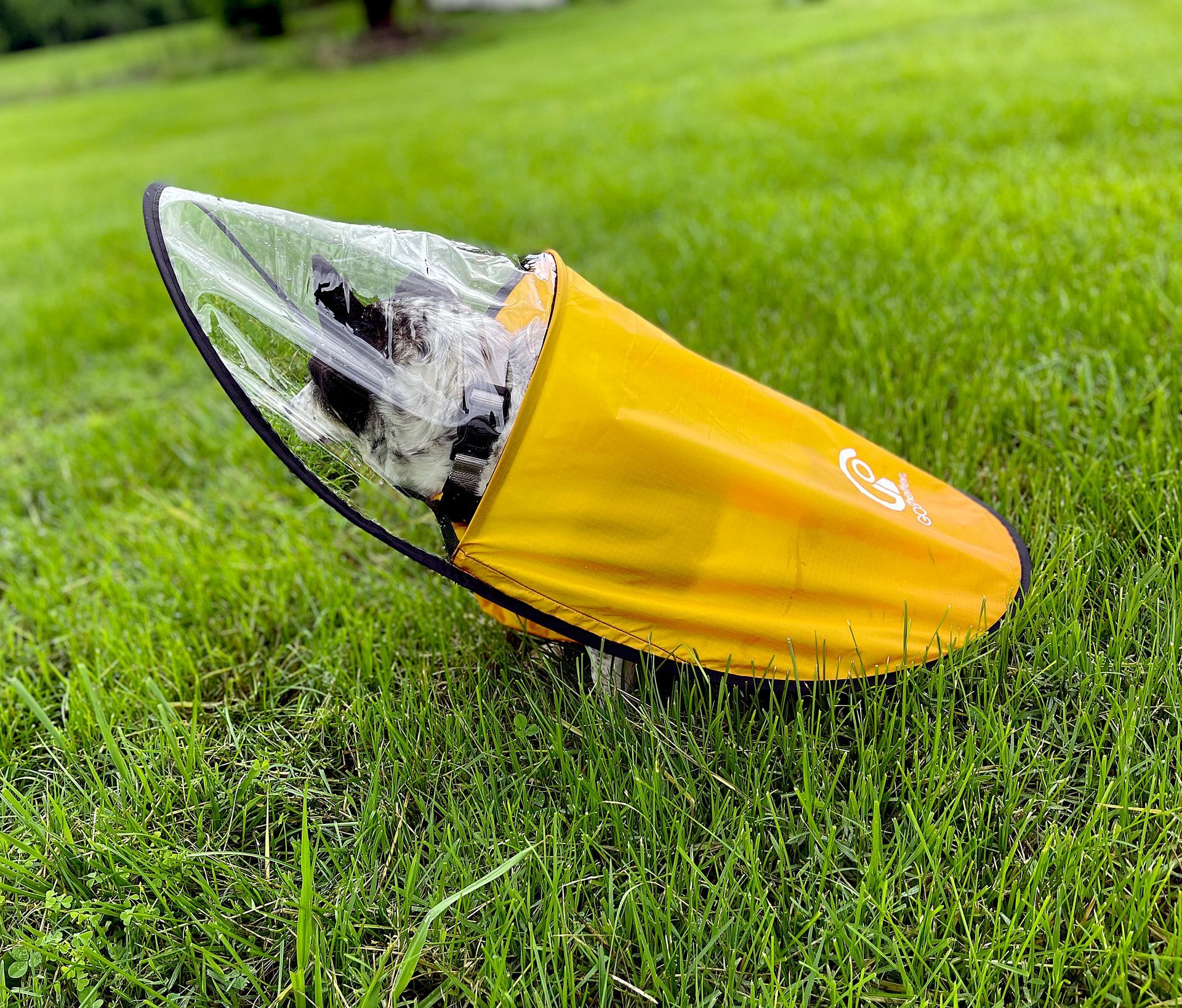 GOShelter Dog Rain Canopy Gear