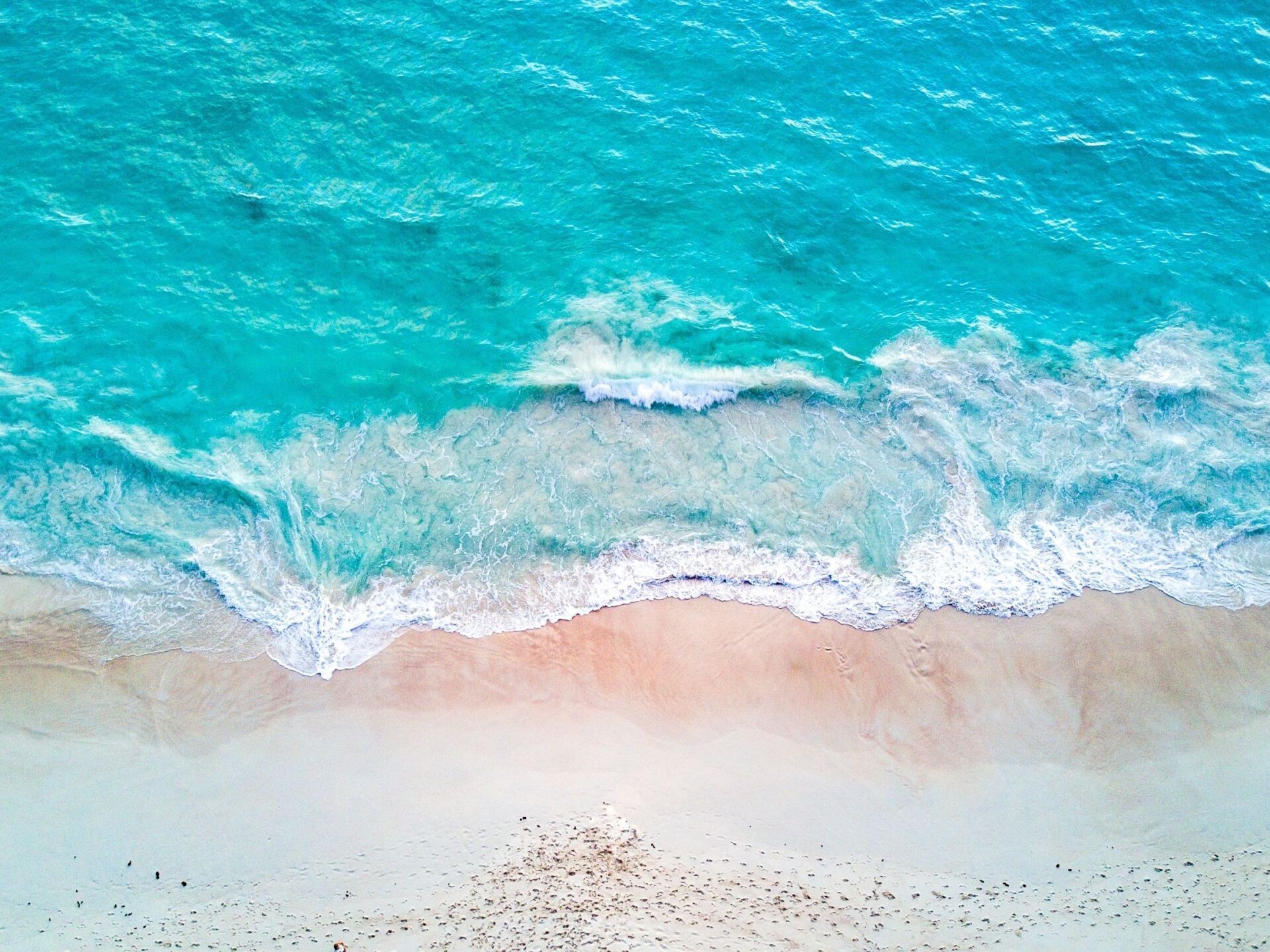 drone shot of the beach in nova scotia