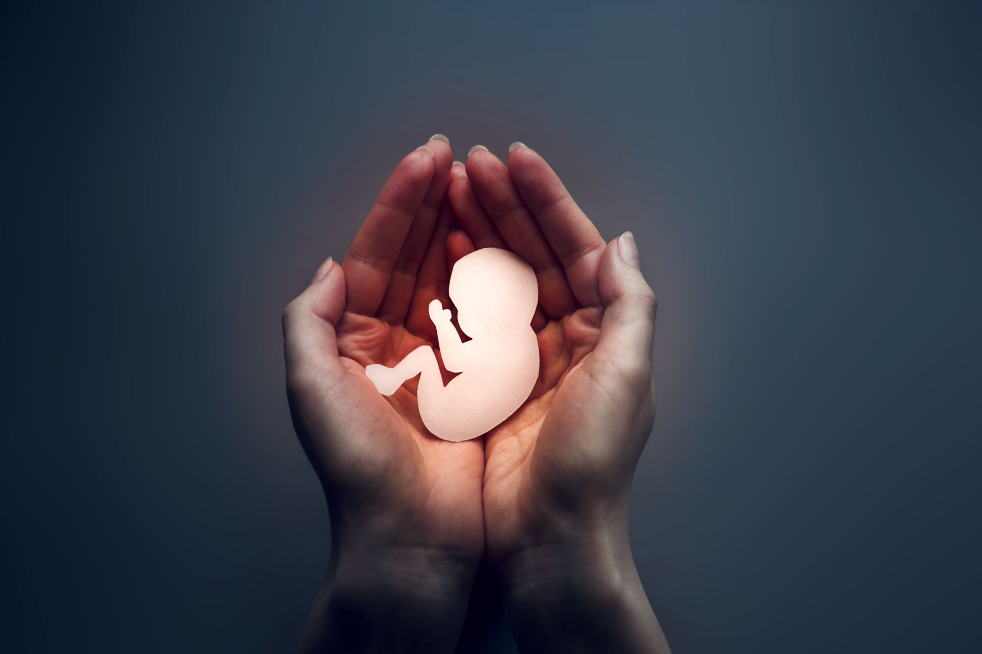 Woman's palms pressed together to keep a paper embryo. Woman's palms pressed together to keep a paper embryo.
