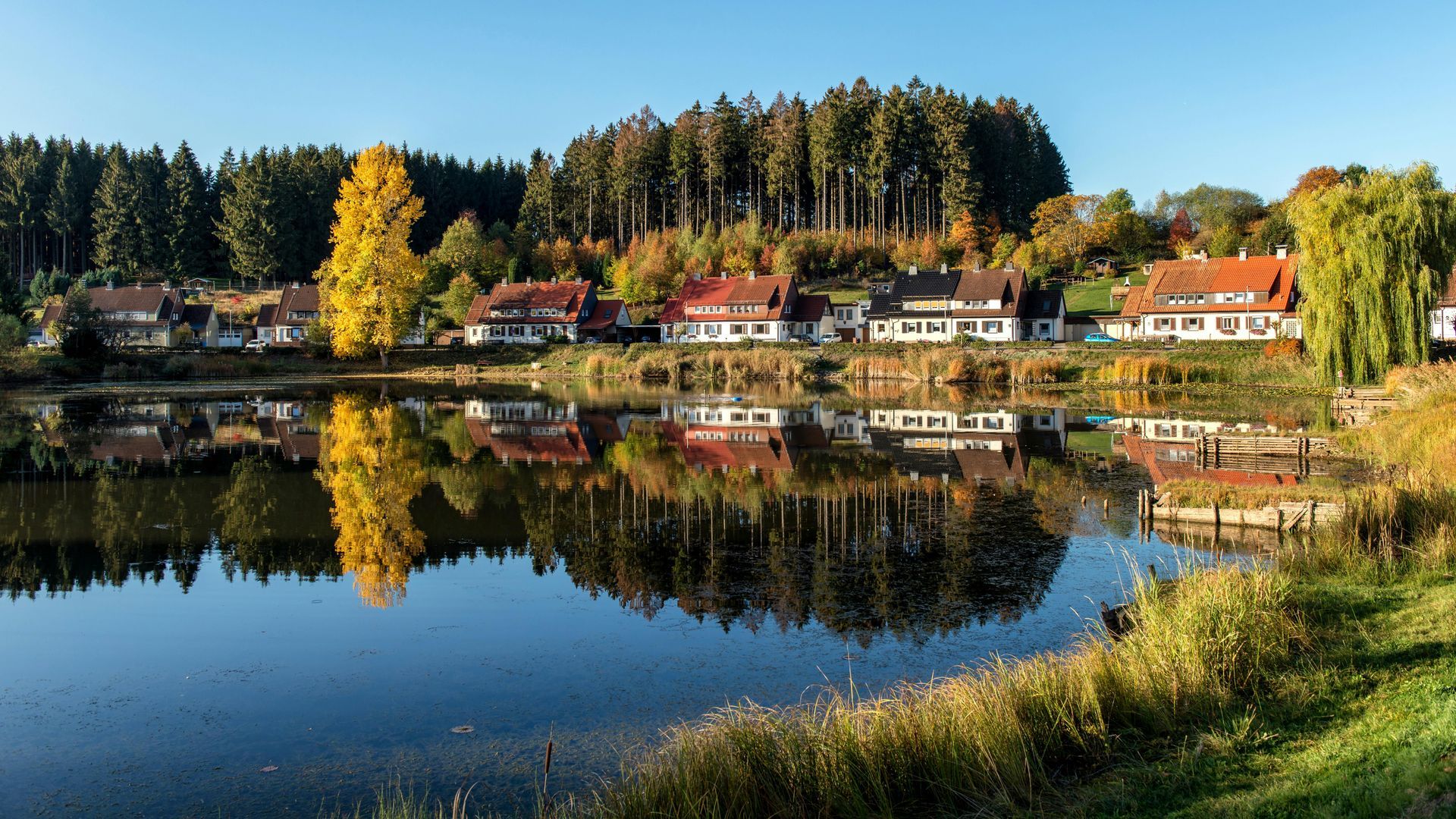 A lake with houses on the shore and trees reflected in the water.