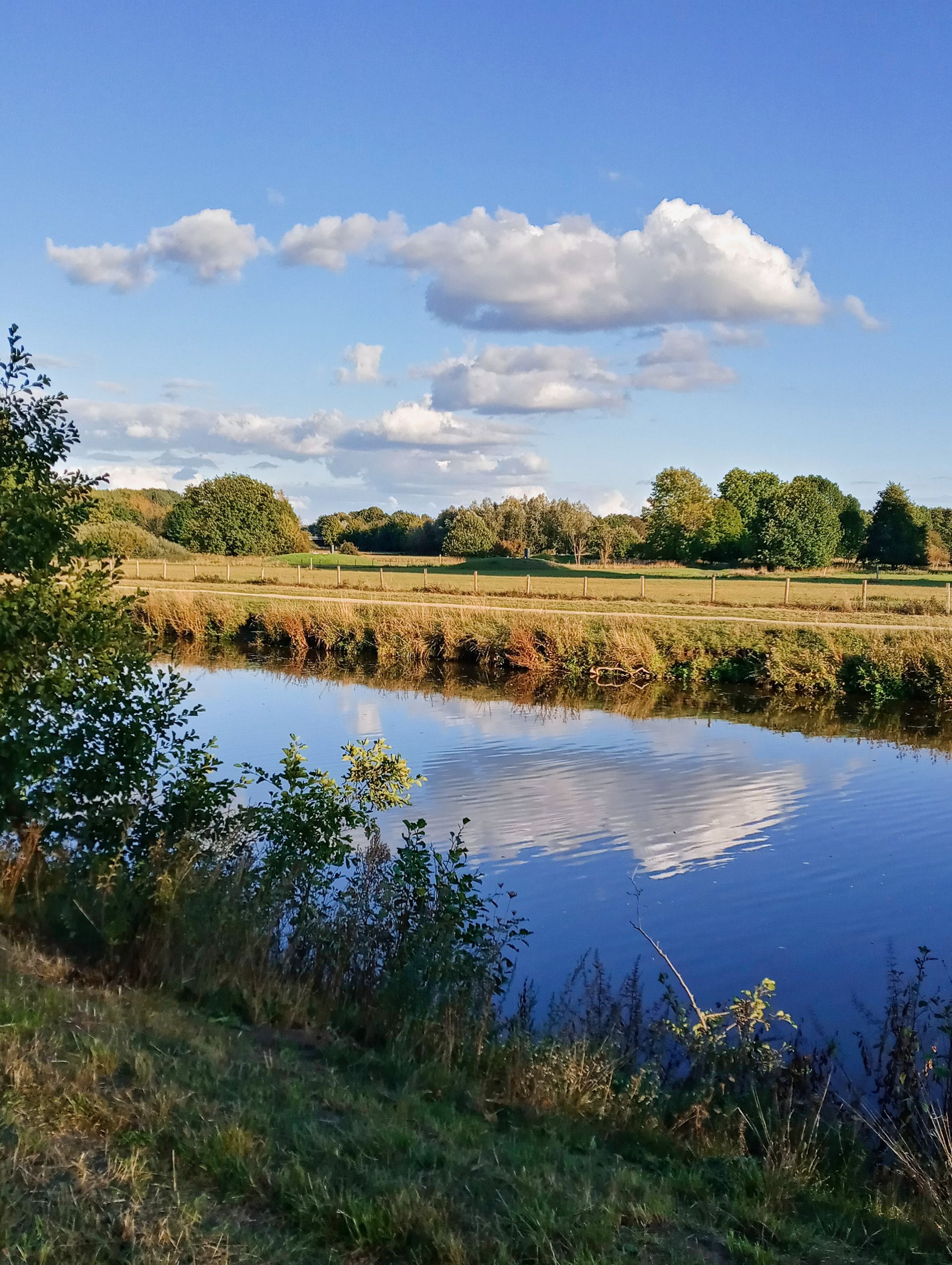 Online-Schreibwerkstatt: Nature Writing. Mit kreativem Schreiben achtsam durch die Natur. Von Heike Thormann Online-Schreibwerkstatt: Nature Writing. Mit kreativem Schreiben achtsam durch die Natur. Von Heike Thormann