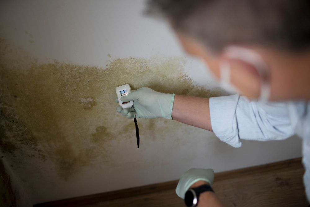 Person in Gloves and Mask Measures Mold on Ceiling With Moisture Meter — Ultimate Restoration Services in Koongal, QLD