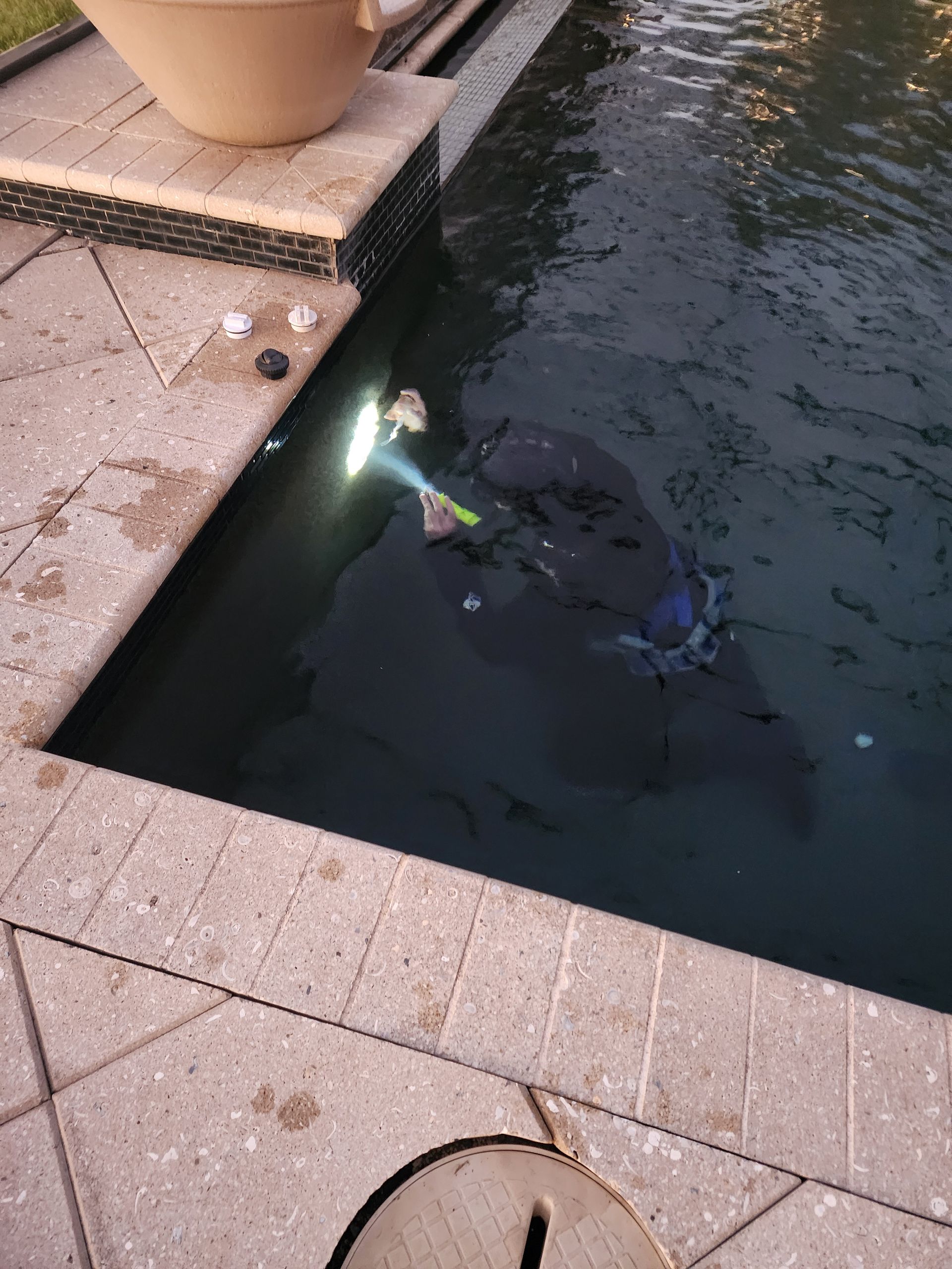 Person feeding koi fish in a pond beside a tiled walkway and large planter