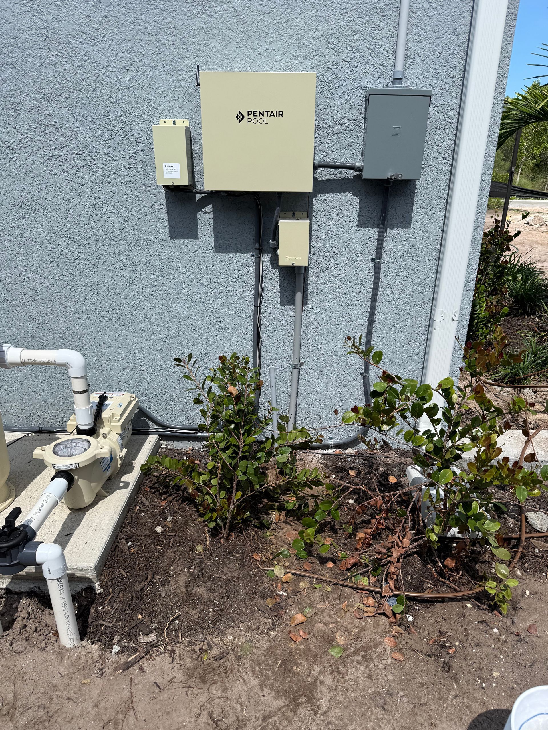 Utility boxes on a speckled exterior wall beside pipes and shrubs