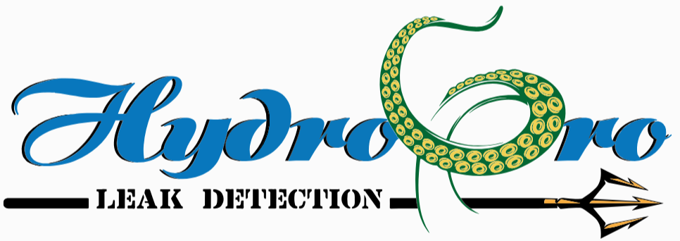 Hydro Pro Leak Detection logo with blue script text and a green patterned hose forming a water droplet