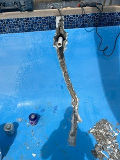 Damaged pool hose hanging into an empty blue pool, with debris on the bottom.