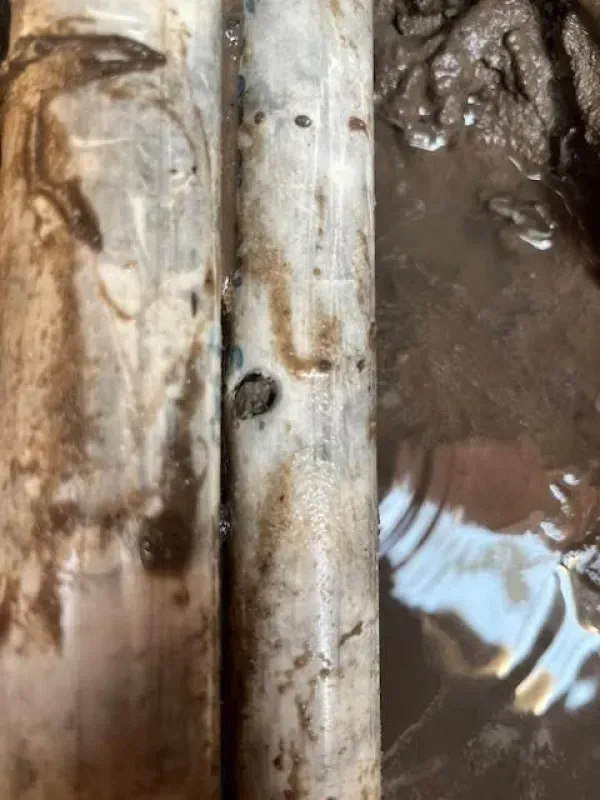 Close-up of muddy water beside a weathered white wooden post and wet tree bark