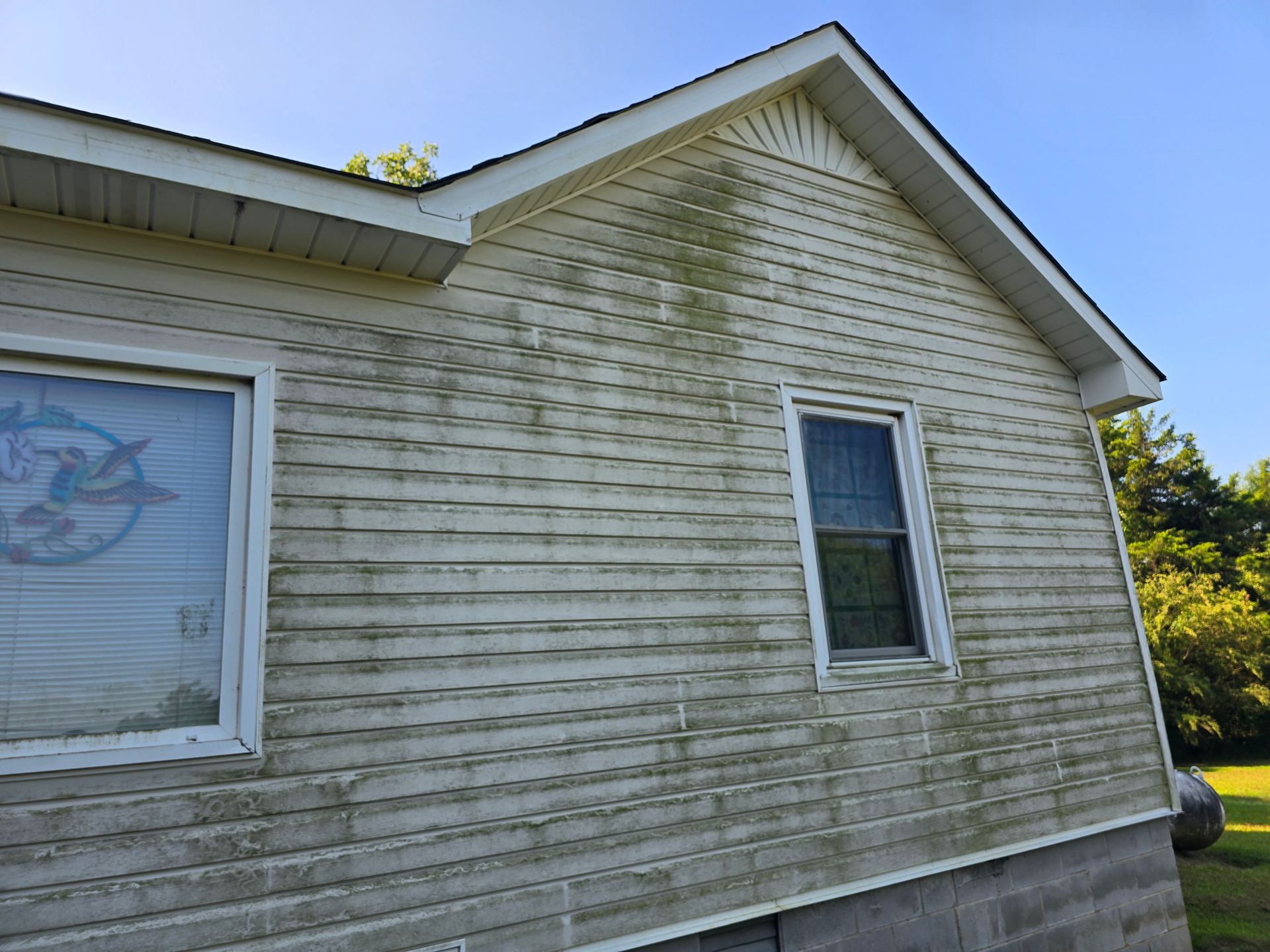 Een huis met veel groene algen aan de zijkant.