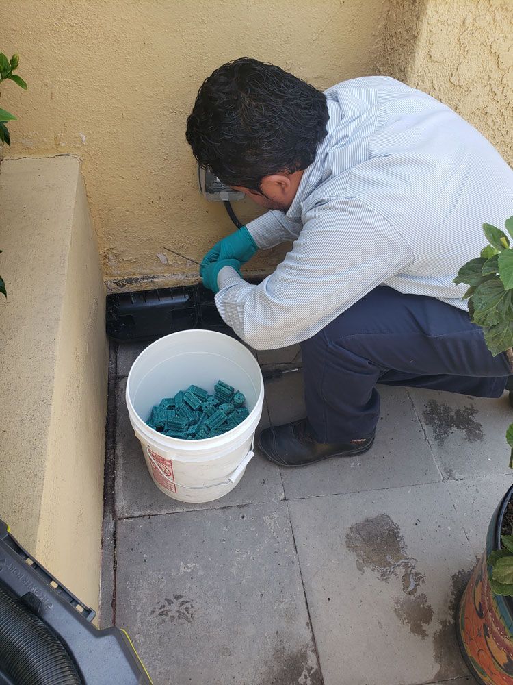 EXCELL FUMIGADORA SA DE CV