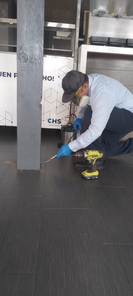 EXCELL FUMIGADORA SA DE CV