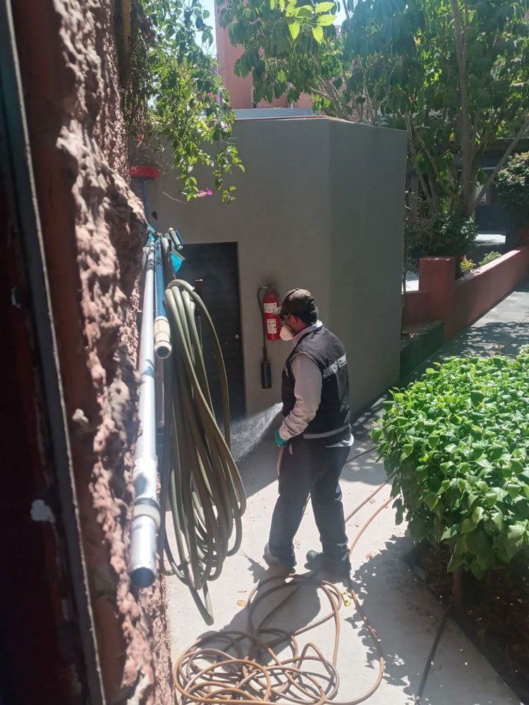 EXCELL FUMIGADORA SA DE CV
