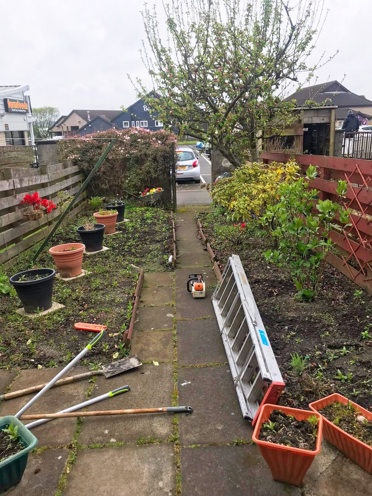 A ladder is sitting on the sidewalk in a garden before the project started.