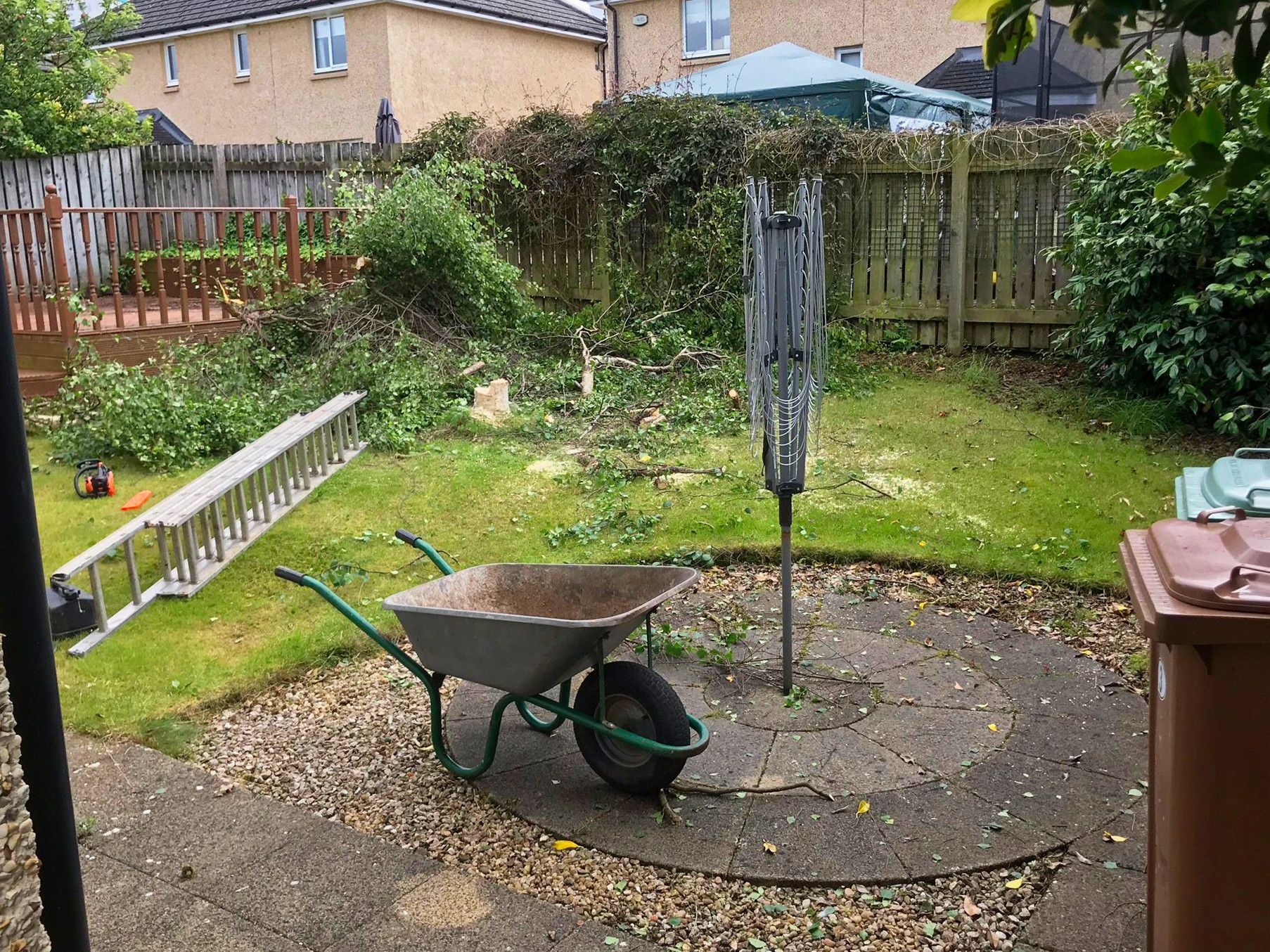 A wheelbarrow is sitting in the middle of a garden before the clean-up project was started.