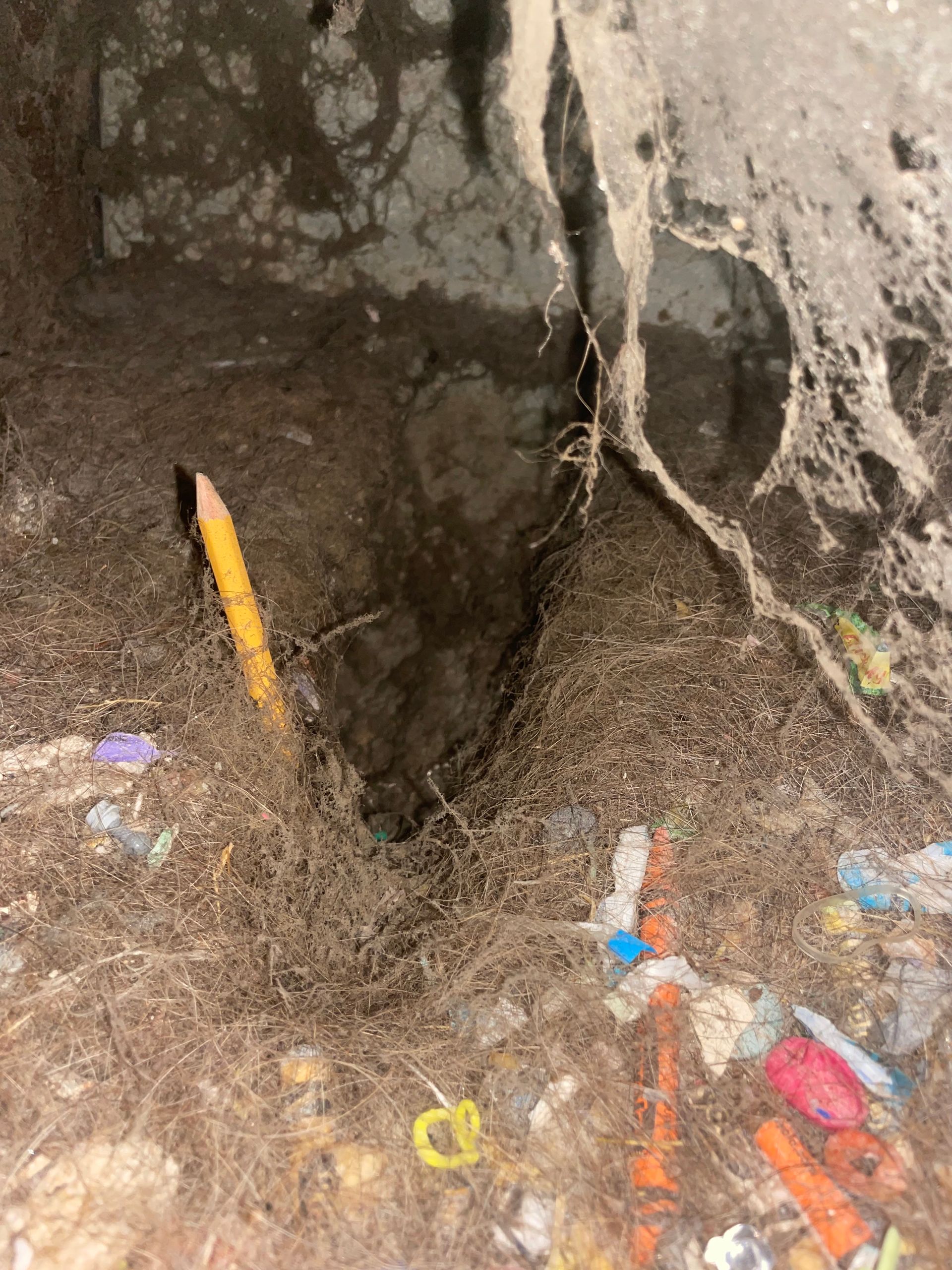 Dirty roadside base of a tree with a yellow pencil and scattered colorful trash on the ground