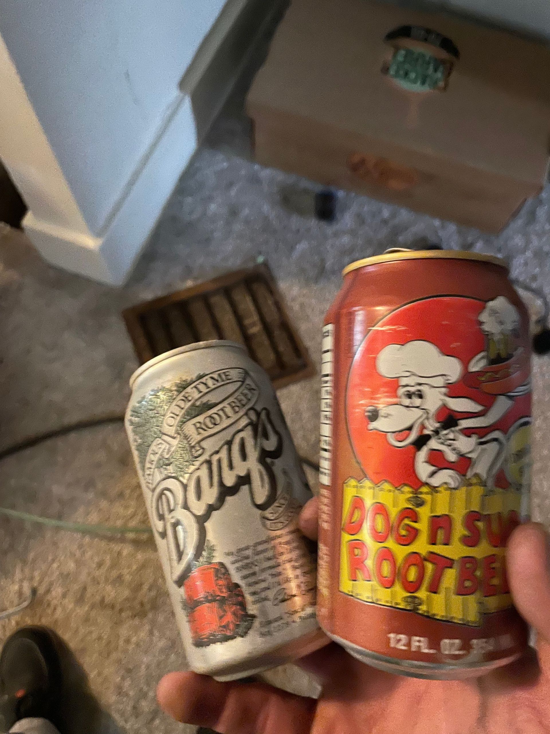 Two soda cans on carpet: a silver can labeled “Naughty” and a red Santa-themed “Dog N Suds Root Beer” can.