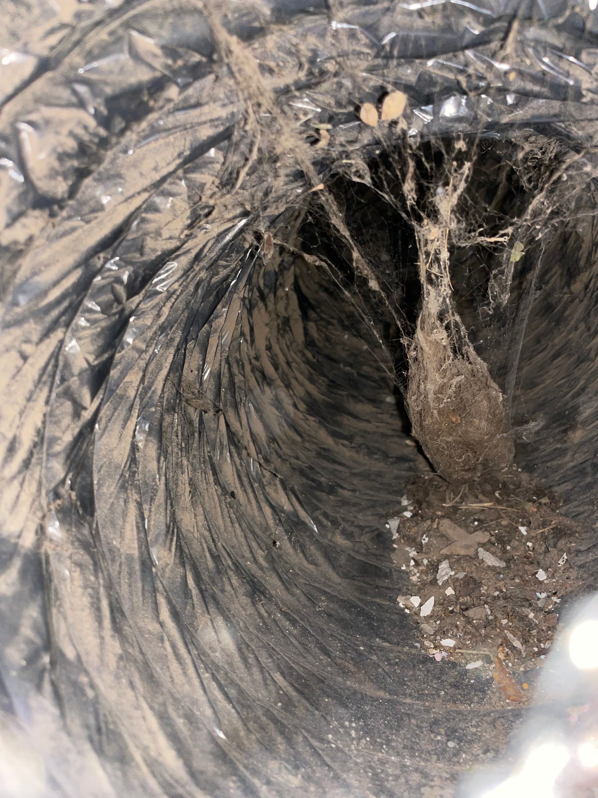 Inside a dark plastic pipe, with gray residue and debris lining the interior.