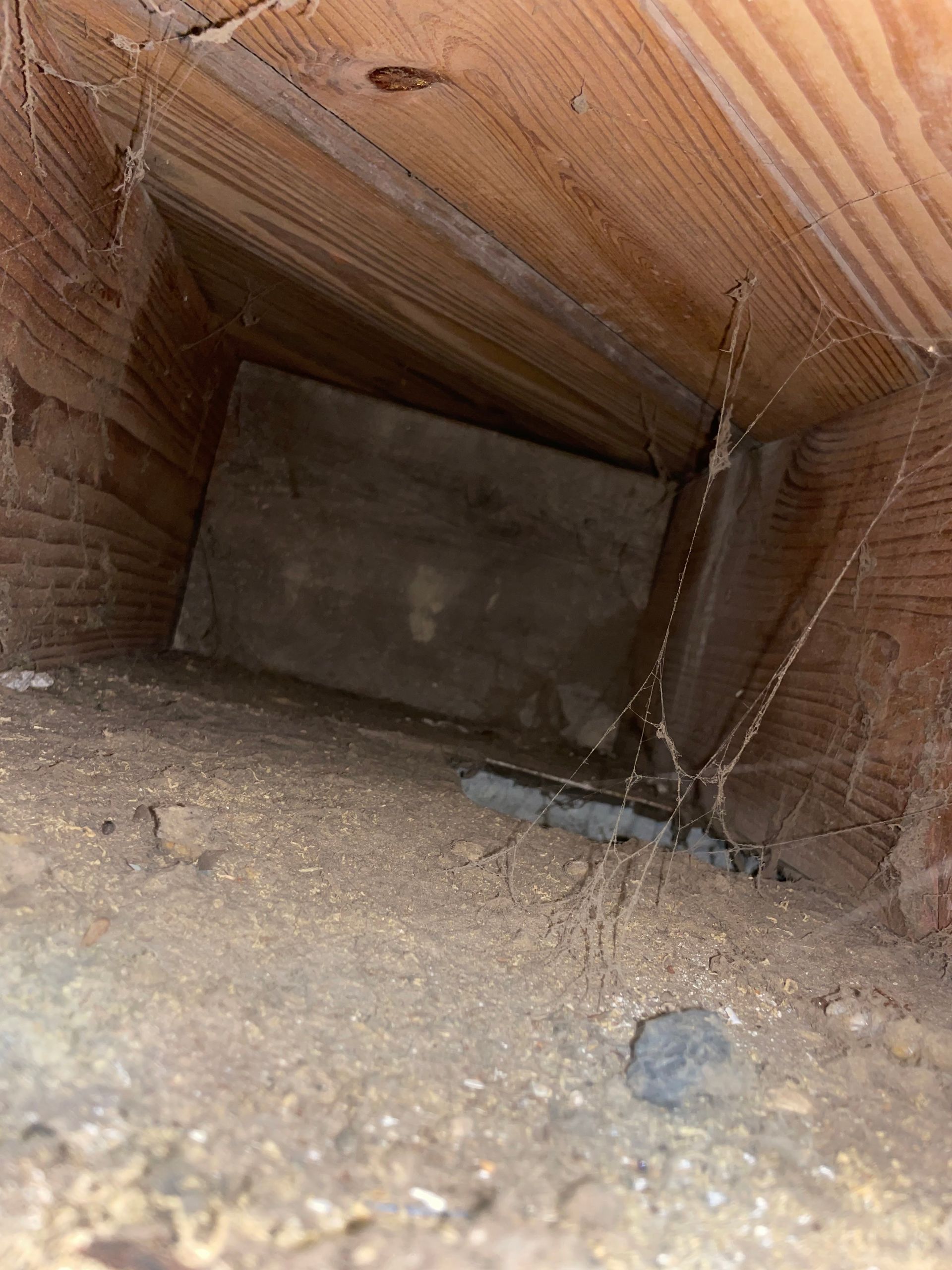 Interior view of a narrow cardboard tube, with a dusty floor and rough brown corrugated walls