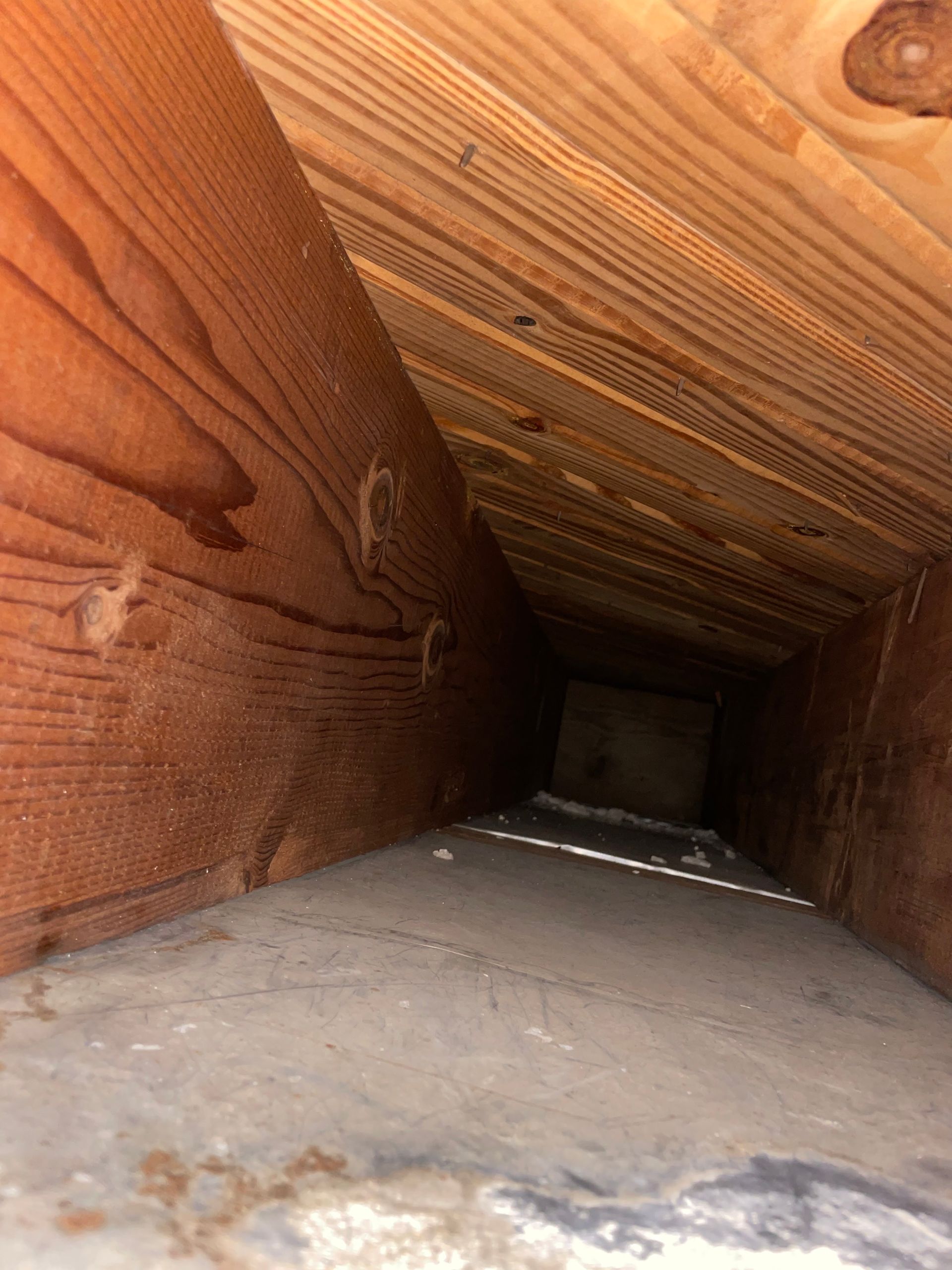 Inside a narrow wooden duct or vent, with a concrete floor and a dark opening at the far end.