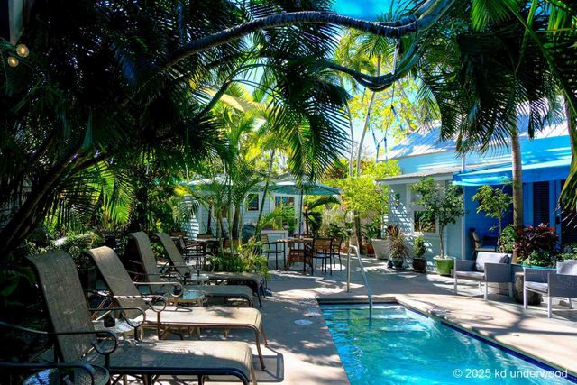 Tropical resort courtyard with lounge chairs, pool, palm trees, and blue umbrellas in bright sunlight
