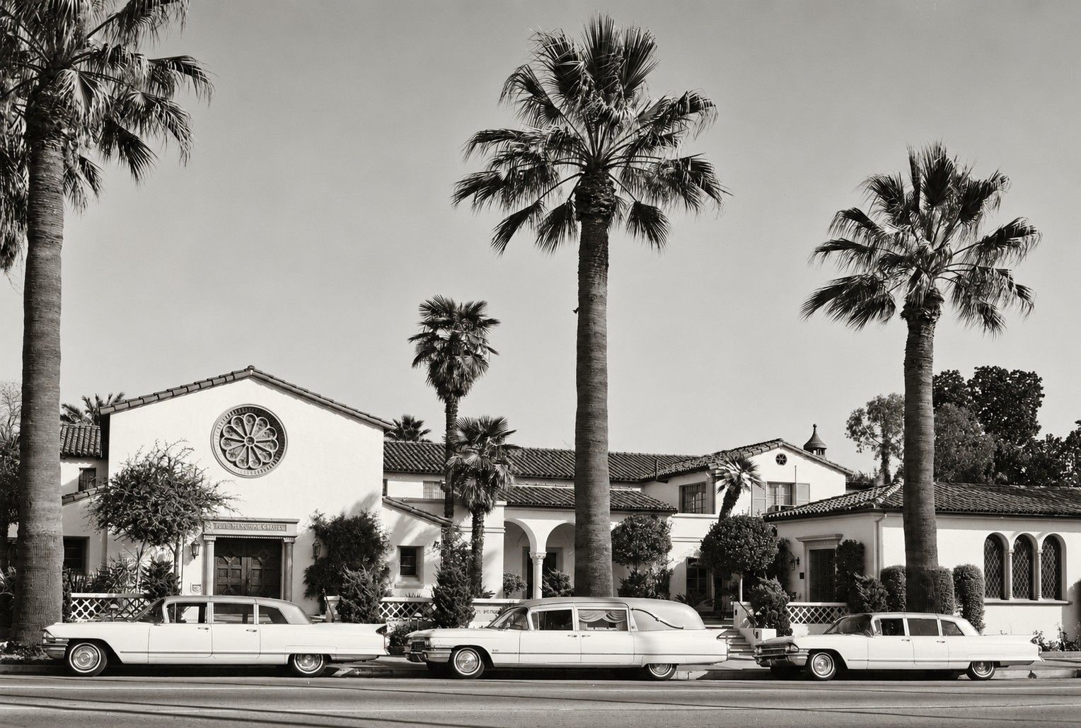 Black-and-white photo of a mid-century motel with palm trees and parked classic cars at the curb